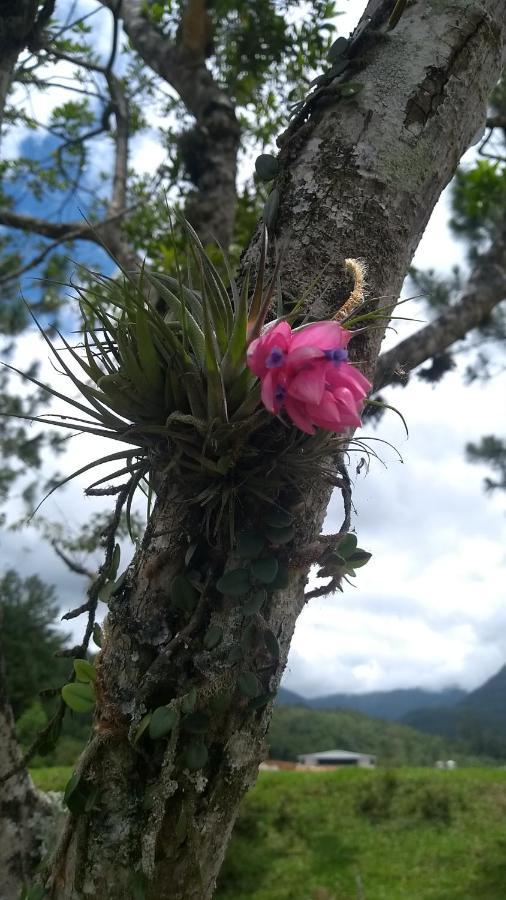 Hostel E Pousada Vale Mirante Da Rocha Timbe do Sul 外观 照片