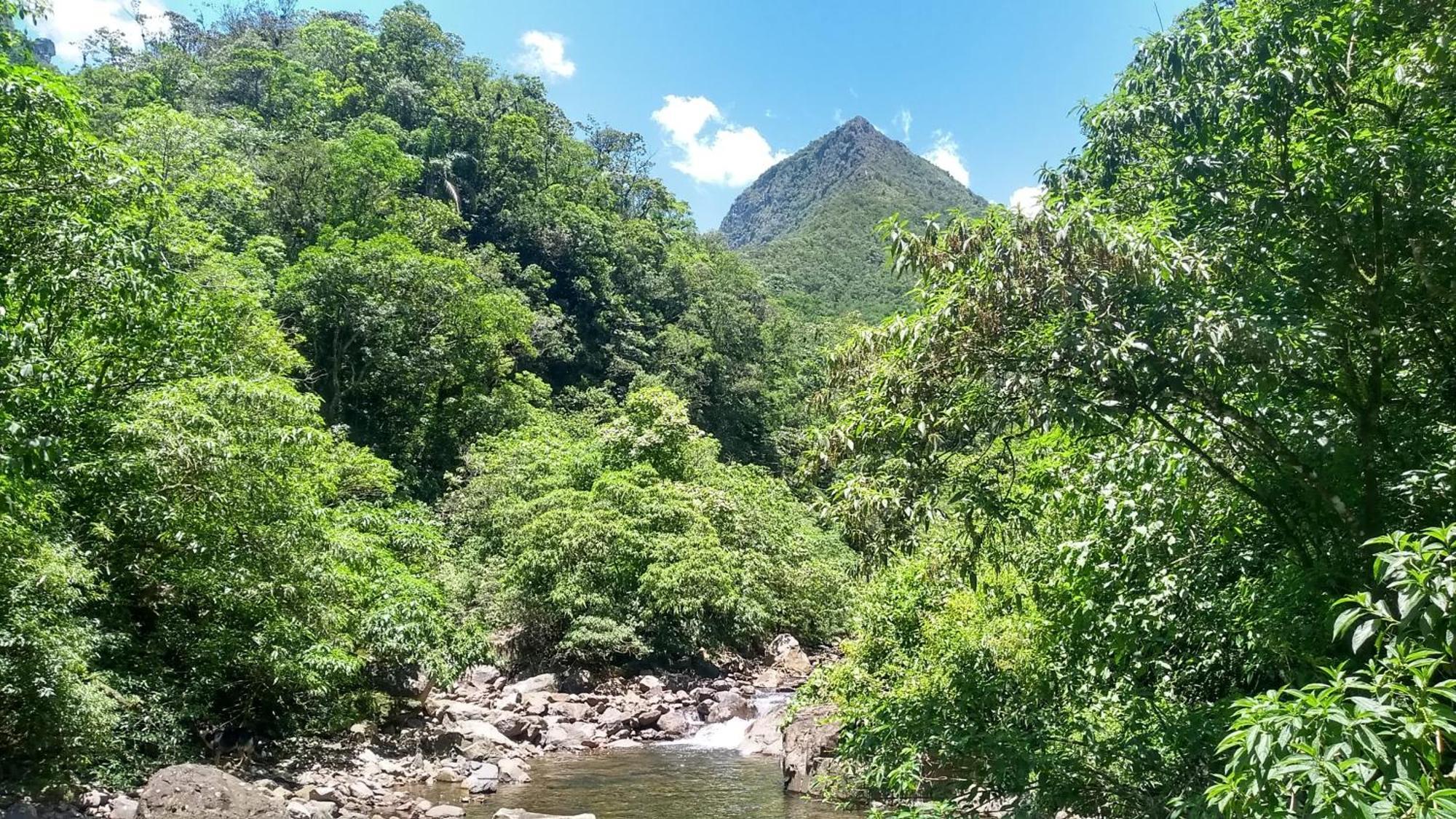 Hostel E Pousada Vale Mirante Da Rocha Timbe do Sul 外观 照片